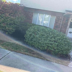 grass maintenance by Native Landscapes Of Central Florida LLC reviewed on September 22, 2023