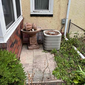 Leaf Removal by Grove Professional reviewed on September 22, 2025