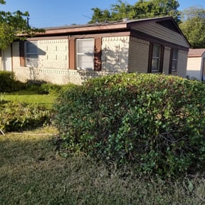 Bush Trimming by Bucking Lawns and Fencing reviewed on August 16, 2025