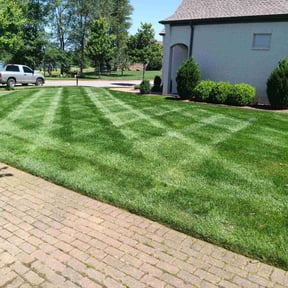 landscaping services by Charles' grass cutting reviewed on August 16, 2025