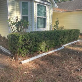 Bush Trimming by Deans renovation reviewed on August 17, 2025