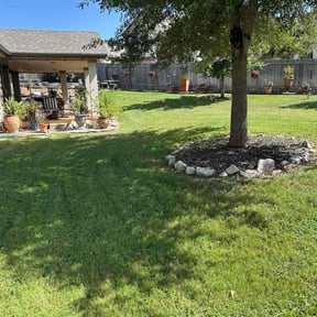 yard care by Champ's Next Level Landscaping LLC reviewed on August 18, 2025