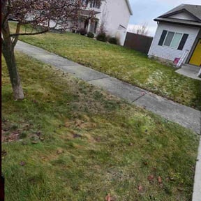 Leaf Removal by lawn of the month reviewed on August 21, 2026