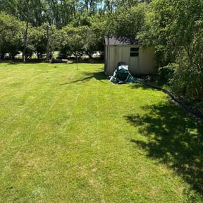 lawn maintenance by D&D Reliable Services LLC reviewed on July 25, 2025