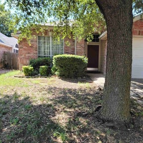 Bush Trimming by Cope and Ferreira Greeneries reviewed on November 5, 2025