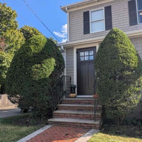 Bush Trimming by GoGreen Landscaping reviewed on October 22, 2025