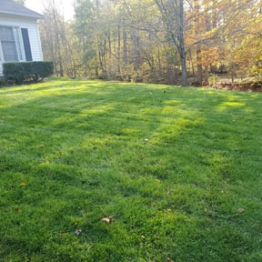 Leaf Removal by Peek Of The Season reviewed on October 1, 2025