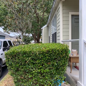 Bush Trimming by Mow'N'Go Lawn Care reviewed on August 18, 2025