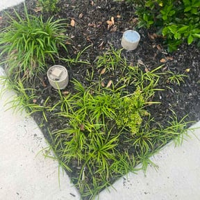 Flower Bed Weeding by jng landscaping llc reviewed on April 28, 2026