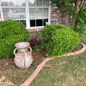Bush Trimming by Fresh Cuts Lawn Professionals LLC reviewed on August 20, 2025
