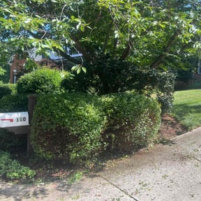 Bush Trimming by Knights Lawn Care LLC reviewed on August 17, 2025
