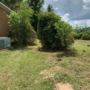 Bush Trimming by Family lawn Care reviewed on August 18, 2025