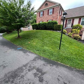 lawn care services by Mr. Jims' Lawn Care L.L.C reviewed on August 21, 2025