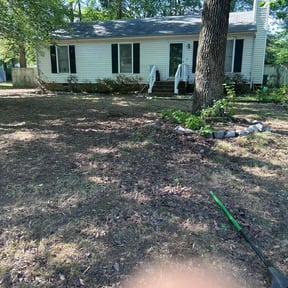 Bush Trimming by D Taylor's Property services reviewed on August 20, 2025