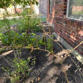 Flower Bed Weeding by Landscape &amp; Mowing reviewed on April 8, 2026