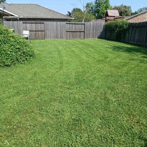 landscaping by Gator Lawn Care Co. reviewed on August 17, 2025