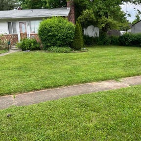 lawn maintenance by Paul Landis Dba Pro Turf Landscape and Lawn care reviewed on May 3, 2024