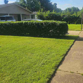 Bush Trimming by S&amp;M Lawn care reviewed on June 4, 2026