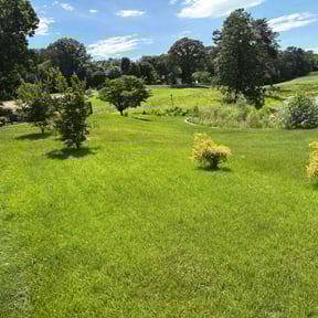 landscaping by K's Lawn Service reviewed on August 20, 2025