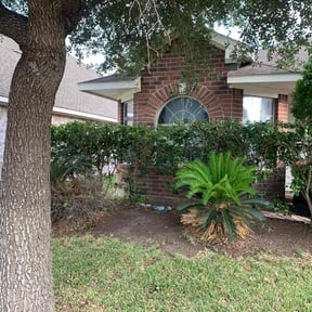 Bush Trimming by Eagle Lawn Care reviewed on August 19, 2025