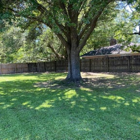 residential landscaping by Tee’s lawn maintenance reviewed on December 6, 2025