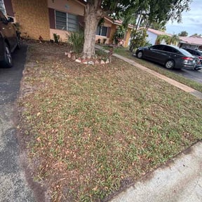 Leaf Removal by Buzzin' Blades Lawn Service reviewed on April 29, 2026