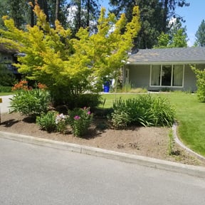 Bush Trimming by Furia Global LLC reviewed on August 17, 2025