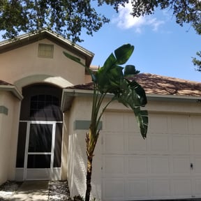 Bush Trimming by Roldan Lawn Services LLC reviewed on October 3, 2023