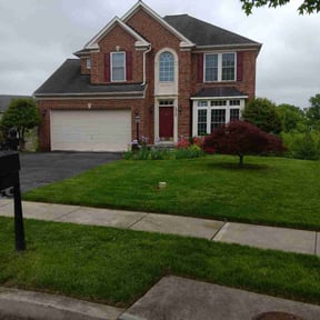 yard service by Perfect Landscapes reviewed on September 7, 2019