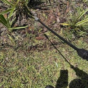 Flower Bed Weeding by Clean cut maintence reviewed on August 15, 2026