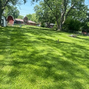 lawn maintenance by RL Landscapes reviewed on August 18, 2025
