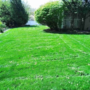 landscaping services by Jennifers Clean Outdoors reviewed on August 20, 2025
