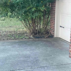 Bush Trimming by LuChi Landscaping reviewed on August 20, 2025