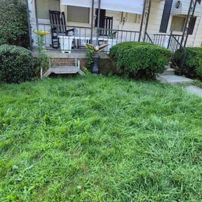 Bush Trimming by Scott Bensing Lawn Care reviewed on December 23, 2025