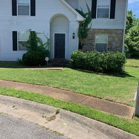Bush Trimming by do it all lawn care reviewed on August 16, 2025