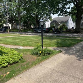 yard work by Kujo&#039;s cuts reviewed on November 23, 2025