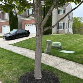 landscaping services by Watson Yard Works reviewed on August 20, 2025