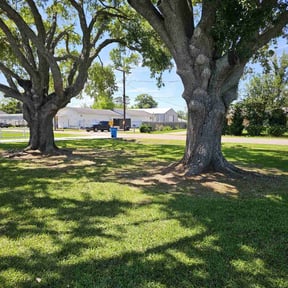 gardening service by Got Dat Lawn Services reviewed on August 16, 2025
