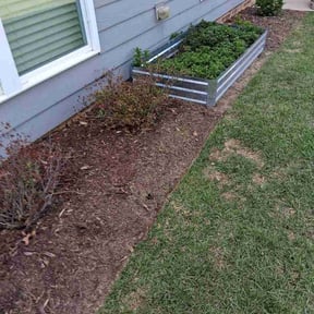 Flower Bed Weeding by Quintero landscaping services reviewed on May 19, 2026