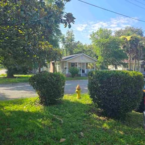 Bush Trimming by Daniels Property Services reviewed on July 18, 2026