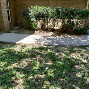 Bush Trimming by Redline Property Maintenance (RPM) reviewed on August 18, 2025