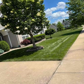 gardening service by Twin Acres Lawn Care LLC reviewed on December 11, 2025