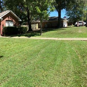 residential landscaping by The Fairy Yardmother reviewed on August 19, 2025