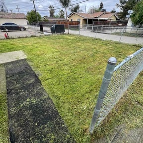 turf maintenance by Expanding Horizons Property Management LLC reviewed on May 10, 2024