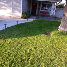 Leaf Removal by Eddy Lawn Care reviewed on September 25, 2025