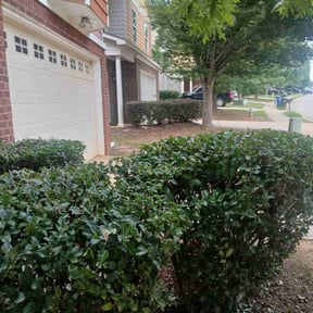 Bush Trimming by Mow-N-Go reviewed on November 19, 2025