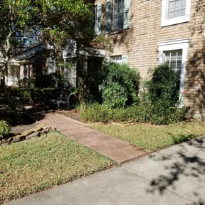 Leaf Removal by Sumner Property Management reviewed on September 13, 2026