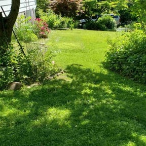 landscaping services by Alpha Brothers Property Maintenance reviewed on November 21, 2025