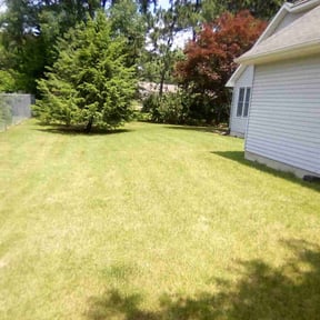 lawn maintenance by Grant Home and Lawn reviewed on February 22, 2024