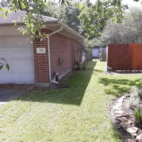 Bush Trimming by Vertical Lawn Care reviewed on August 17, 2025